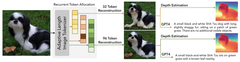 ALIT recurrent token allocation producing variable-length reconstructions.