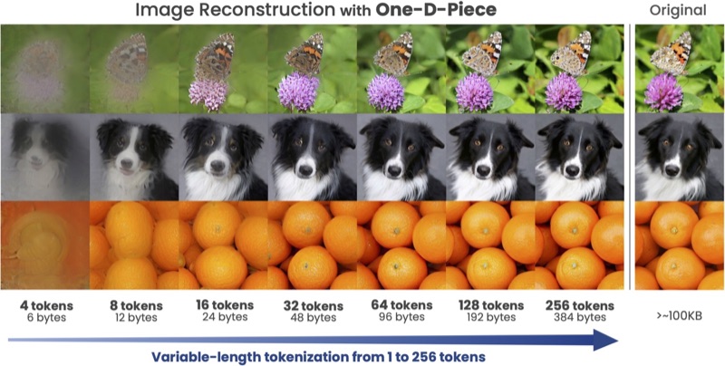 One-D-Piece variable-length reconstructions from 4 to 256 tokens.