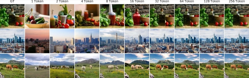 Semanticist coarse-to-fine reconstructions from 1 to 256 tokens.